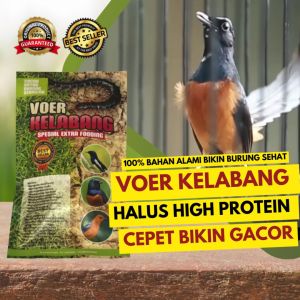 Pakan Burung Voer Kelabang untuk Burung Berkicau