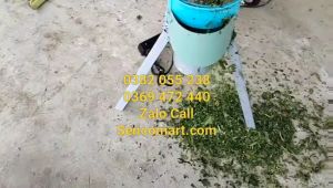 Máy băm bèo tây lục bình tại miền tây Nam Bộ