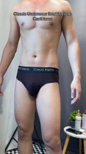 4Pcs Mens High Quality Cotton briefs for men original underwear stretch cotton briefs for men adult men‘s underwear plus size L-5XL