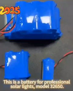 3.2V-32650 LiFePO4 battery intelligent charging/discharging/overcharge for solar lights LiFePO4 with BMS Philippines
