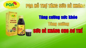 Siro Tăng Sức Đề Kháng PQA Thành Phần Thảo Dược Từ Thiên Nhiên Giúp Cải Thiện Sức Đề Kháng Hộp 125ml