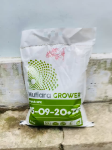 Pupuk NPK MUTIARA GROWER 15-09-20+TE isi kemasan 200gr 1kg 5kg dari Meroke Tetap Jaya