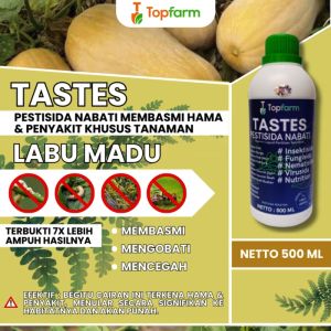 Obat Hama Daun Labu / Obat Hama Labu Kuning / Obat Hama Sayuran Labu / Obat Hama Tanaman Labu / Obat Hama Labu / Obat Pembasmi Hama Tanaman Buah Labu