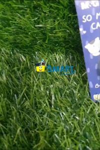 (1 PCS) M&G CUTTER COLORFUL ASS913D9 / MINI CUTTER