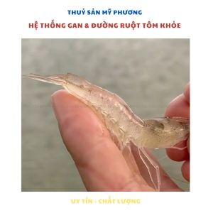 Tinh Dầu Cao Tỏi Đen  EMI GARLIC Đường Ruột Cho Tôm Trống Đường Ruột Bị Bệnh Phân Trắng - Tinh dầu cao tỏi đen được chiết xuất đậm đặc giúp Nuôi Tôm Cá Ếch Lươn Baba - THUỐC THUỶ SẢN MỸ PHƯƠNG