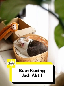 TEMPTATIONS Camilan Kucing - Pet Snacks untuk Kucing Dewasa (4-Pack) 75g.