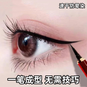Long-Lasting Waterproof Fine Eye Liner Pen Beginner Friendly Smudge-Proof Makeup Easy Application Enhance Eye Color Black