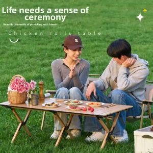 LINSI | Folding Outdoor Chair for Camping Fishing Picnics