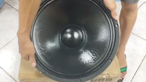 Live PRO-18-1000PA: A High Performance Portable Sound Solution