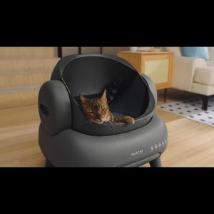 Neakasa M1 Plus Automatic Cat Litter Box | Open-Top Design + Upgraded Safety | 5-Years SG Warranty