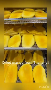 Thailand Mangga Kering Thai Mango Dried Premium Mango 500g 泰国芒果干 Dry Food YMY Store