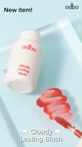 บลัชออน ปัดแก้ม โอดีบีโอ คลาวดี้ ลาสติ้ง บลัช ODBO Cloudy Lasting Blush OD1306