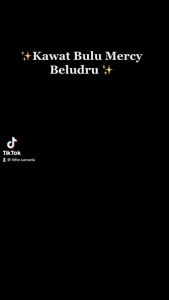 Kawat Bulu Mercy Beludru untuk Bunga Pipe Cleaner Prakarya Untuk Dekorasi dan Hiasan Import Untuk Pakaian