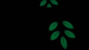[Stock] Stair carpet protection mat five-leaf grass self-adhesive luminous anti-slip stair carpet floor