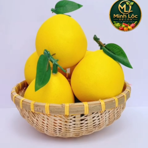 Trái Bưởi Xanh/ Vàng (Size Nhỏ Trung Đại) trang trí Cao cấp | Trái Cây Nhựa foam Trái Cây trang trí Trái Cây Mô Hình