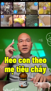 HEO CON THEO MẸ TIÊU CHẢY(ENRO-FOR 100ml +COLISUN 100G)