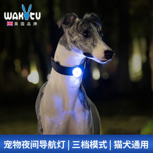 Glowing Pet Dog Pendant Necklace Nighttime Leash Warning Light Hunting Dog Lost Prevention Tag Pet Accessories Universal Fit