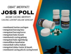 Jamu Merpati Jospol obat cacing merpati