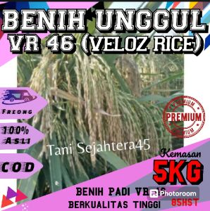 Bibit Padi VR 46 kemasan 5kg spesial promo