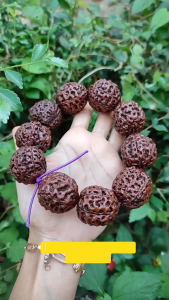 GELANG RUDRAKSHA JENITRI JUMBO BESAR