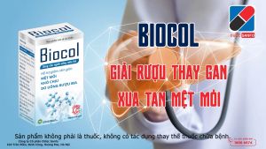 Giải rượu Biocol hộp 6 vỉ x 6 viên - Dùng cho người uống rượu bia với biểu hiện mệt mỏi khó chịu