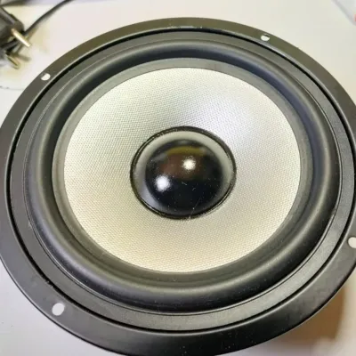 SPEAKER 65inch PROTON 200W Spiker 6.5in