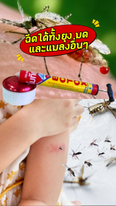 กระบอกฉีดยุง ฉีดยา โบท๊อก Botoxx Kills Insects ละอองฝอยละเอียดมากพ่นกําจัดยุง แมลง ทุกชนิด ได้ผลดี