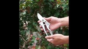 SK-5 Pruning Shears Garden Scissor Gardening Plant Stainless Steel Flower Fruit Tree Garden Branch