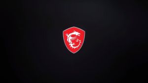 MSI EATX & ATX & MATX MAG & MPG FORGE 110R|111R|112R|320R|SHIELD 110A|QUIETUDE 100S|VAMPIRIC 010X|100R|300R|GUNGNIR 110R|VELOX 100R Gaming PC DESKTOP Case CASING