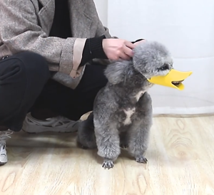 V-0019 Anti Bite Soft Silicone Dog Mouth Muzzle