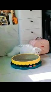 Cat Scratcher Toys Cat bed round cat scratching board corrugated cat scratching board round toy scratching board