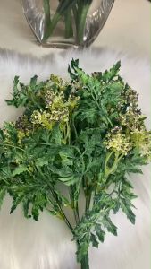 ดอกแซม ช่อดอกไม้แซมตกแต่ง ช่อดอกไม้ปลอม