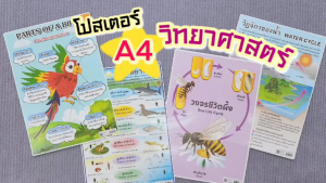 แผ่นความรู้พลาสติก ขนาด A4 (วงจรชีวิตสัตว์ต่างๆ ห่วงโซ่อาหาร วัฏจักรน้ำ วัฏจักรของสาร ระบบสุริยะ)