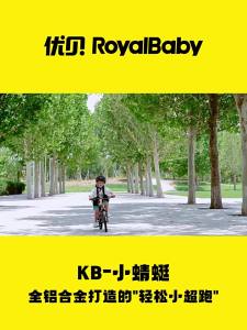 RoyalBaby | Easy Ride Ultra Lightweight Childrens Bicycle