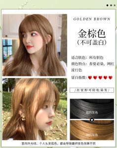 Natural Plant-Based Hair Dye Cover Grey Hair at Home Easy to Use Pure Organic Hair Coloring Agent Black Glossy Finish