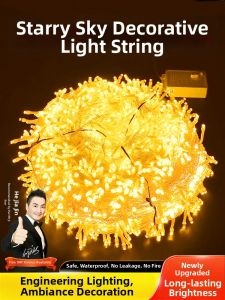 PAIMIJI | Festival Scene Decorative String Lights