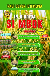 Benih Padi Si Mbok Original Kemasan 5Kg Murah Paket Hemat Biji Padi Panjang Biji Padi Pilihan Terbaik Berkualitas