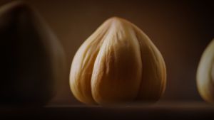 Ferrero Rocher Hermetic (T3)