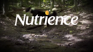 [500g - 2.27Kg] Hạt Nutrience Infusion Cho Chó Con Chó Trưởng Thành