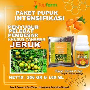 Pupuk Khusus Buah Jeruk: Meningkatkan Produksi & Kualitas