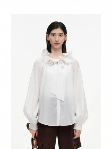 Lace Trim Ruffle Collar Blouse