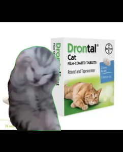 Obat Cacing Kucing Ampuh  EXP2029 Drontal Cat Animal Health Elcanco Dewasa Anak Kitten