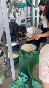 GẠO ĐÀI THƠM 5kg – DẺO THƠM ĐẬM VỊ
