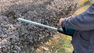 Lithium-Ion 1288VF/48V 89800MH 20 Inch Electric Hedge Trimmer with Digital Display Head Rotates 180° Includes Batteries Gloves and Accessories Ships from Manila