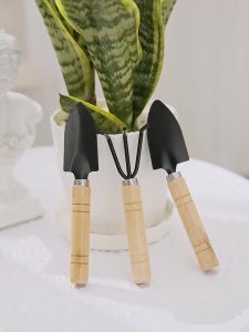 Dụng cụ làm vườn mini 3 món cán gỗ