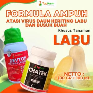Pestisida Topfarm: Solusi Hama Labu Kuning