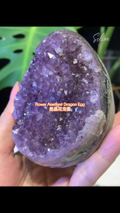 Three-Color Phantom Surrounding 👉 Flower Amethyst Dragon Egg 🌸
