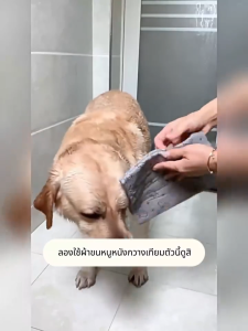ผ้าขนหนูดูดซับสัตว์เลี้ยง ซึมซับน้ำ แห้งเร็ว ผ้าเช็ดขนสัตว์เลี้ยง ผ้าเช็ดหมา ผ้าเช็ดแมว ผ้าเช็ดขนแมว สุนัข สัตว์เลี้ยง