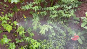 ชุดพ่นหมอก ละอองฝอย ลดฝุ่น PM 2.5 ลดอุณหภูมิ รดน้ำต้นไม้ 20 หัว สายไมโครอย่างดี 20เมตร พร้อมข้อต่อก็อกสนาม [IRS802-20]