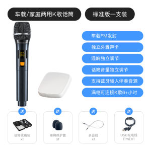 Leji HM-W-57 Car Karaoke Wireless Microphone FM Car Karaoke Microphone Sound Card Dedicated Universal Equipment
